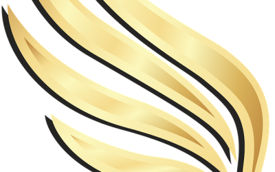 Sélection des meilleurs annuaires pour les entreprises locales : Boostez votre visibilité !